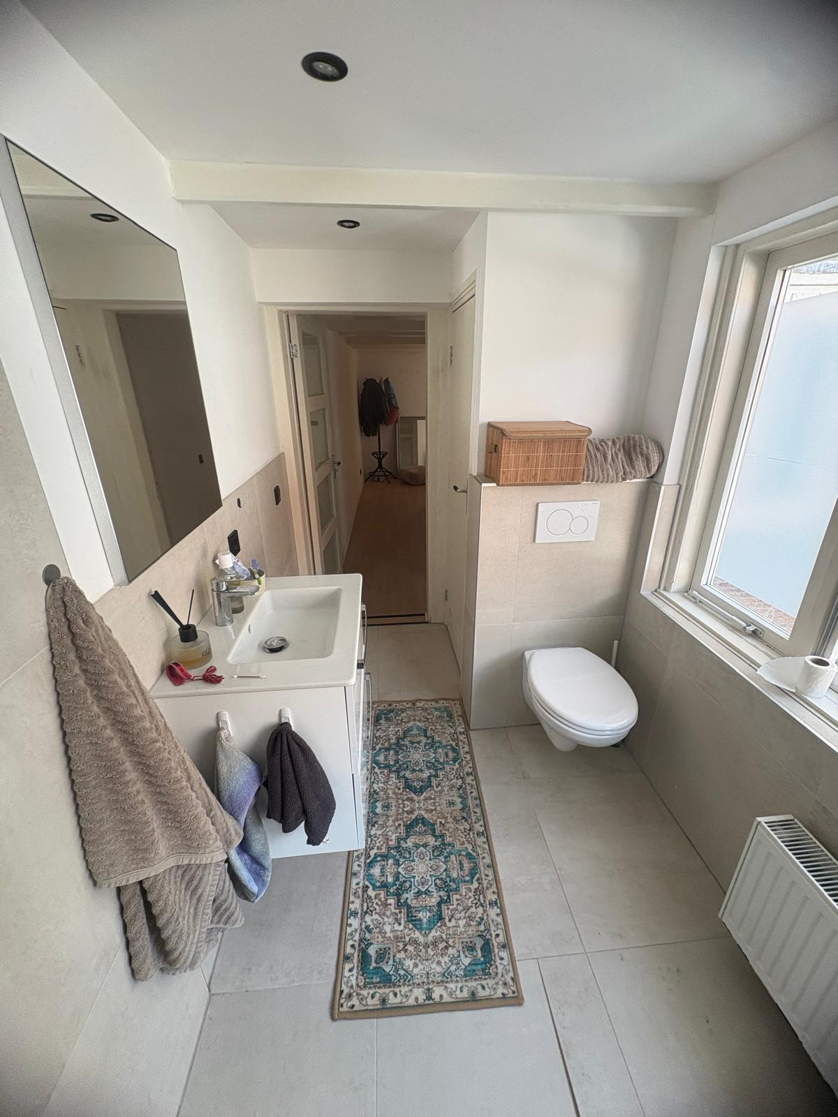 Contemporary bathroom with white vanity and decorative rug