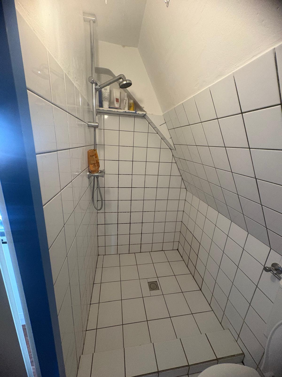 Walk-in shower with white tiles following the sloped ceiling